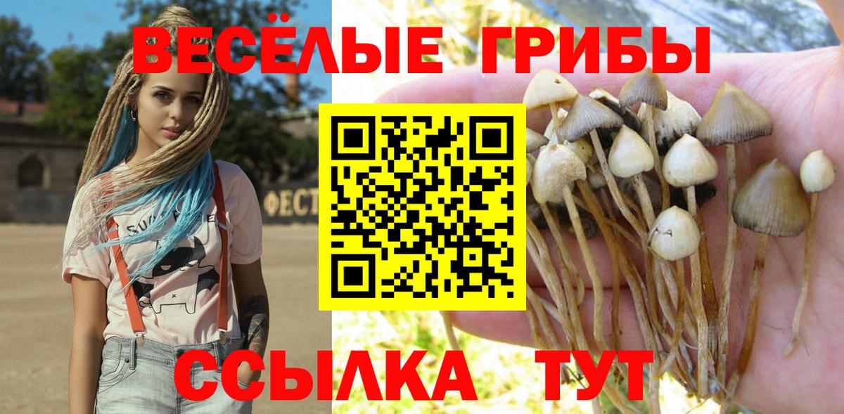 Галлюциногенные грибы мухоморы  закладки  Дальнегорск  Псилоцибиновые грибы GOLDEN TEACHER  Вход с VPN 